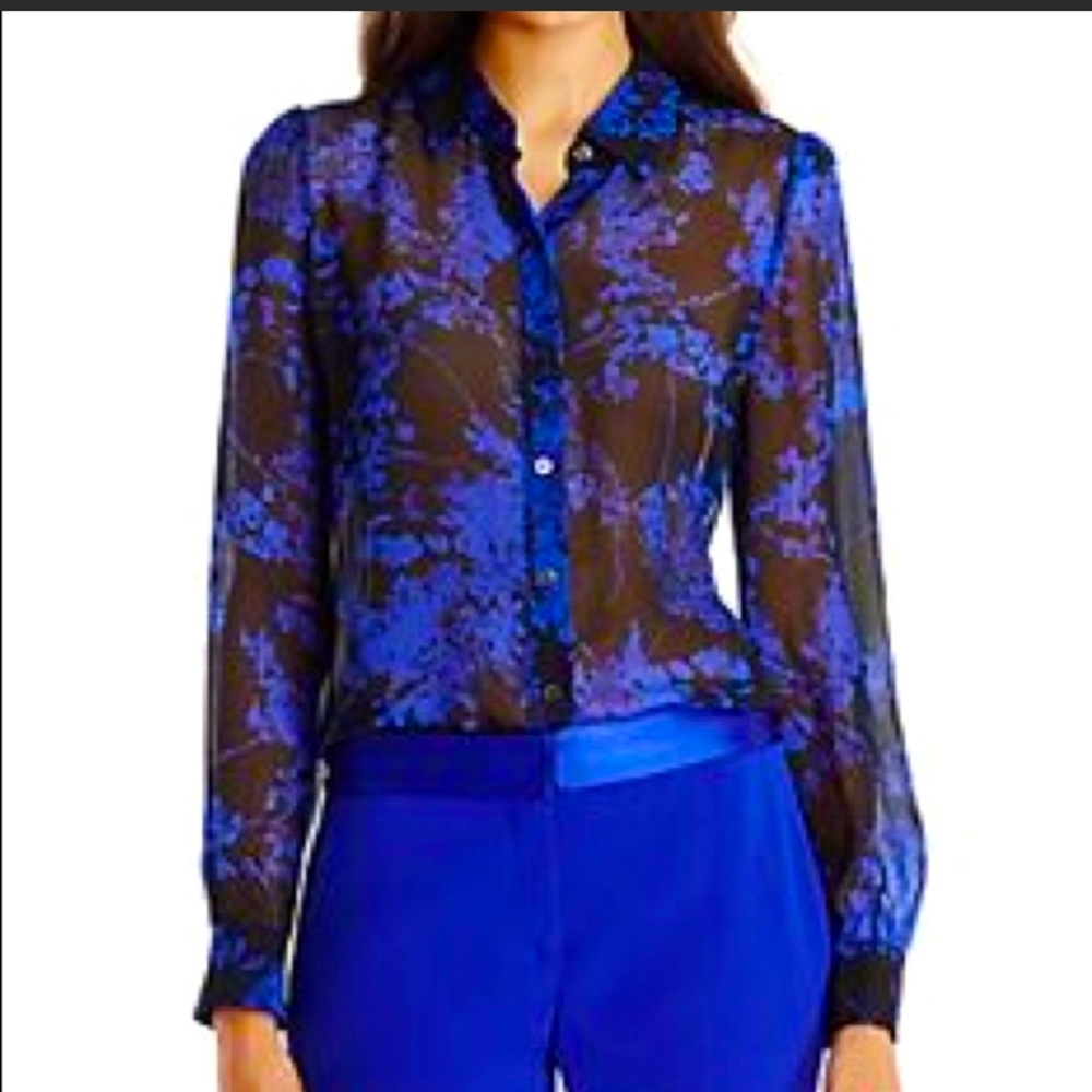 Diane Von Feinsteinberg 100% silk sheer floral top